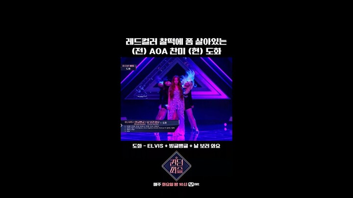 [#퀸덤퍼즐] (전) AOA 찬미 (현) 도화