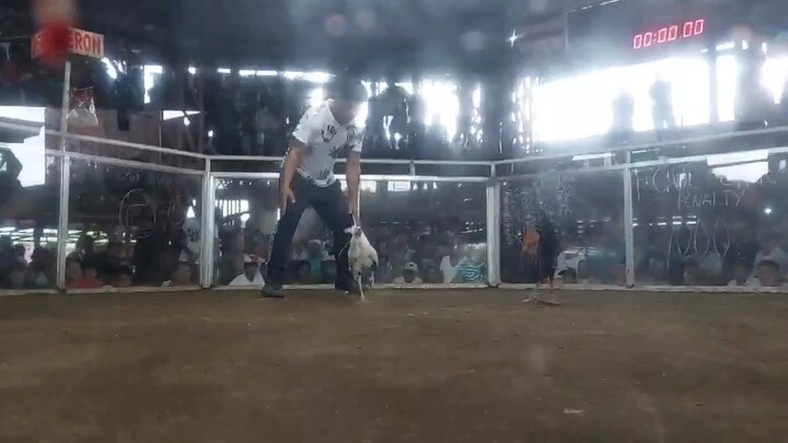 Second fight win, baldado dalawang paa satin. Takbo kalaban.