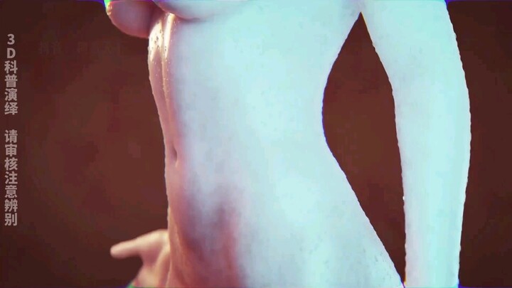 Animation simulates the bodily changes that occur during pregnancy