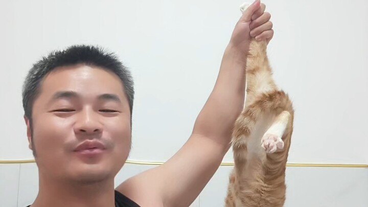 แมวแบบนี้ก็เลี้ยงได้