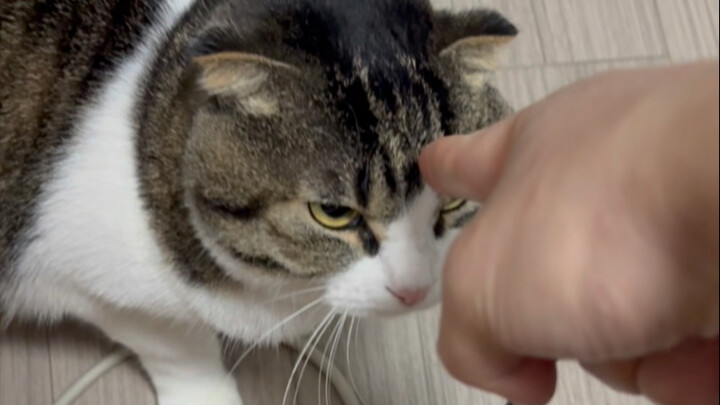 Very oppressive sucking