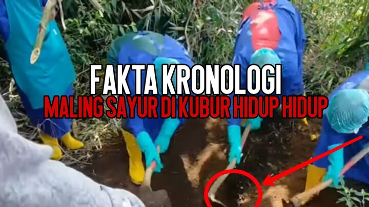 Kronologi Pencuri Sayur Di Kubur Hidup - Hidup || Keterangan Menurut Saksi