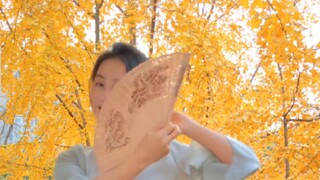 Cùng ngắm nhìn Ginkgo Autumn Glow✿Ronin Pipa✿