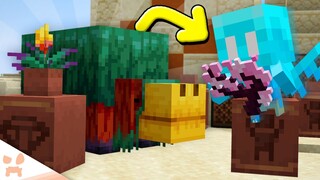 SECRET UPDATES In The Minecraft 1.20 Cherry Grove Snapshot!