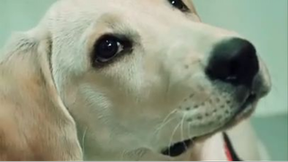 Thánh NGẦU Kmummy Đã Trở Lại _ Coi Đi Coi Lại Không Chán🤣🤣🤣