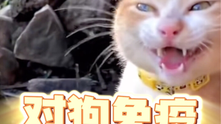 Keluar dua hari aja, pulang-pulang bahkan ayahmu sendiri nggak kenal lagi?