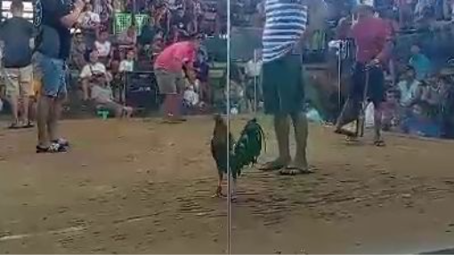 Butcher x Sweater | 2 Hits Ulutan at Lingayen Pangasinan | First Fight