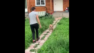 ชอบ