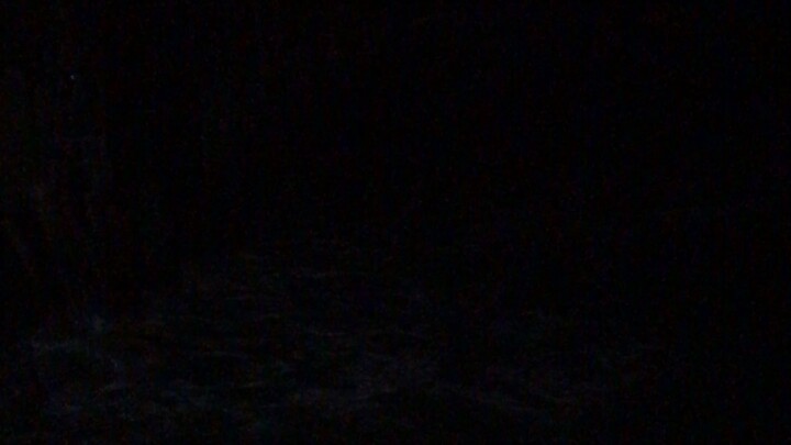 Beach at night