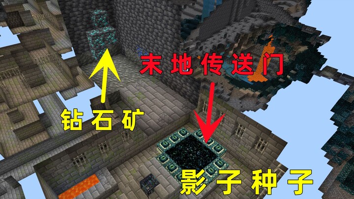 我的世界：啊？万亿分之一的传送门种子也有影子种子？