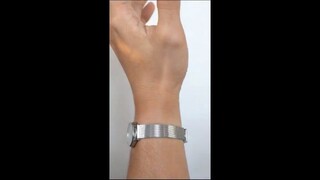 Omega De Ville steel mesh video 2 (on wrist, no audio)