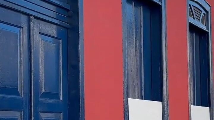 O museu das baleias e golfinhos que conta uma história quase esquecida