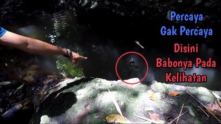 BIKIN HERAN!! MANCING IKAN MELEM BABON YANG PADA KELIHATAN!!