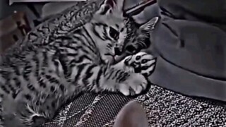 所以爱会消失 对吗