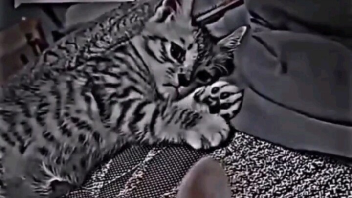 Jadi cinta akan menghilang, kan?