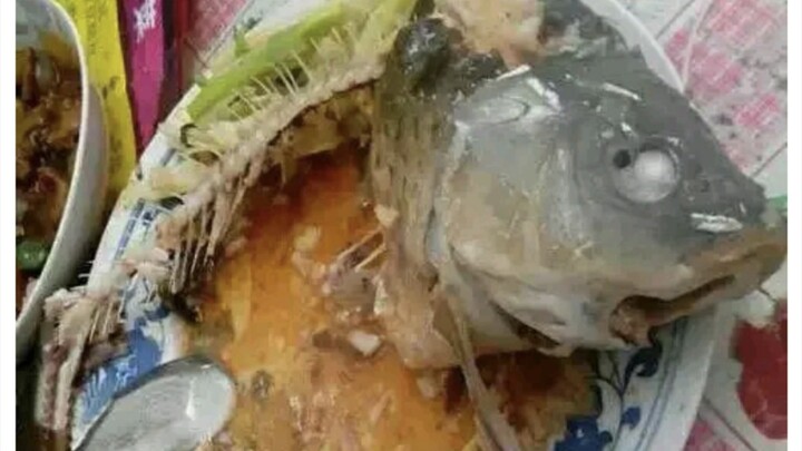 鱼:别急，还能抢救一下