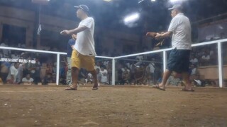 famy 2nd fight 2hits champ