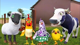 El Pollito pio 3D y el Tractor de la Granja- Canciones de La Granja de Zenón- La