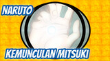 NARUTO|Adegan Munculnya Mitsuki 205