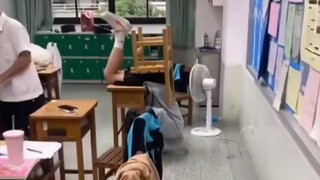 偷偷学 卷死后排