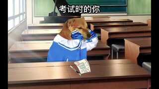 考试时脑子里循环播放洗脑神曲怎么办