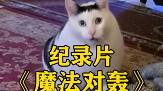 大型纪录片《魔法对轰》