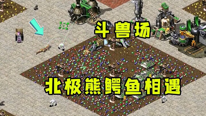 Đấu trường Red Alert toàn cá sấu và gấu Bắc Cực! Dùng Yuri khống chế hết bọn chúng để ta tận dụng!