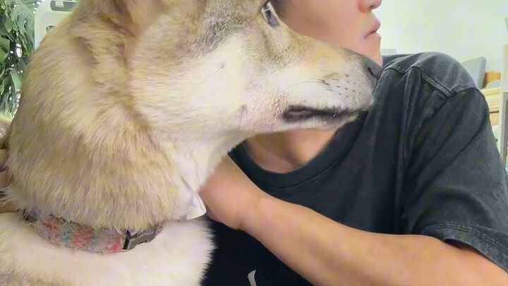 น้องหมากับฉัน