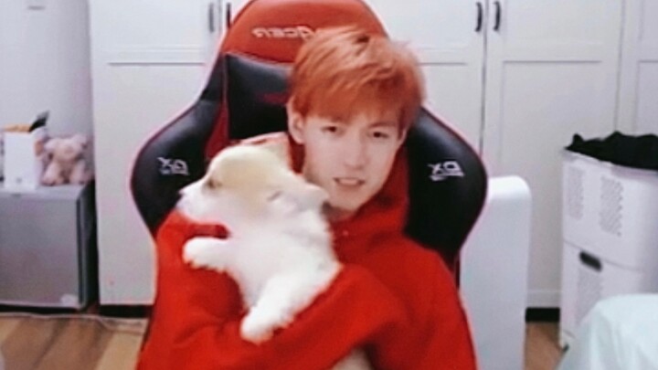 【凉晨】笨蛋帅哥嘶哈嘶哈🤤