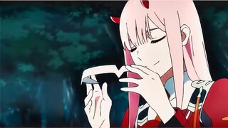 《𝙎𝙡𝙞𝙥 𝘼𝙬𝙖𝙮》X Zero Two || Love that never expires