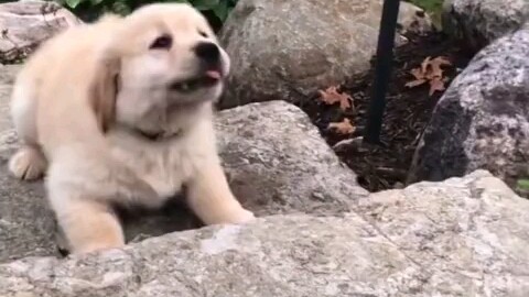 Jump High, Crash Hard