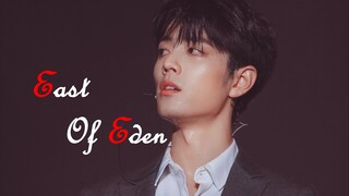 【肖战】 纯颜向混剪||East Of Eden