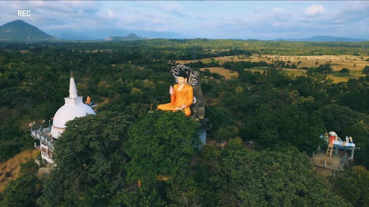 Giant Buddha Statue in Sri Lanka 🇱🇰 | Sankassapura Senasana Drone View 🛸