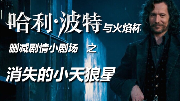 【HP小剧场】《哈利波特与火焰杯》电影中删掉的小天狼星——伤风、鸡腿和十六封信