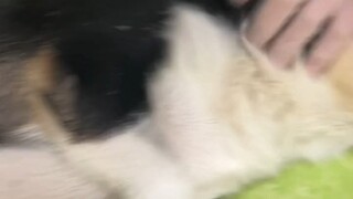 If there weren't such illnesses in this world, would you love each other more freely?