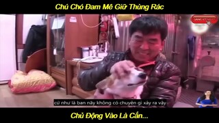 Chú Chó Đam Mê Giữ Thùng Rác Chủ Động Vào Là Cắn | LT Review