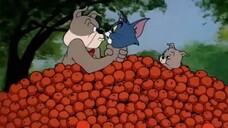Tom and Jerry episode 91 - Pup on a Picnic (1955)