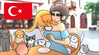 不同国家，不同假期(原版)