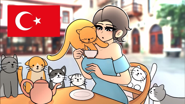 不同国家，不同假期(原版)