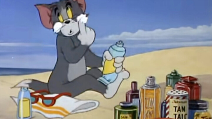 Exquisite little kitten