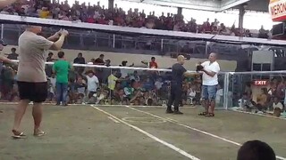 5k sweater cross gelmore matina gallera 9 months