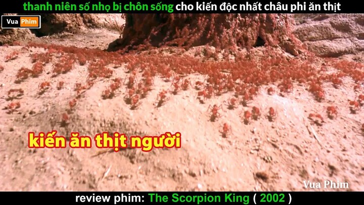 loài Kiến Khát Máu chỉ ăn Thịt Người  - review phim Vua Bọ Cạp