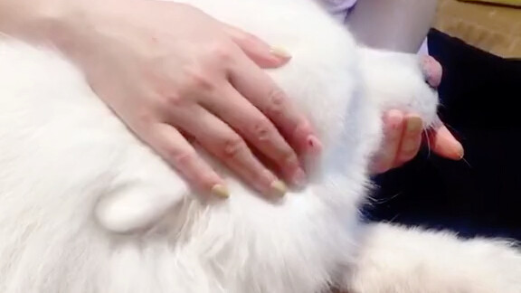 I ran off to have fun for over a week and finally came back today. Just imagine how much I must’ve b