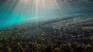 [Tập 4 - Thuyết Minh] Hành tinh tuyệt vời - A Perfect Planet E04: Oceans