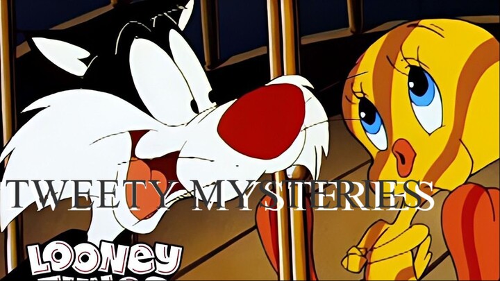 Sylvester and Tweety Mysteries Season 1 Hindi With English Subtitles