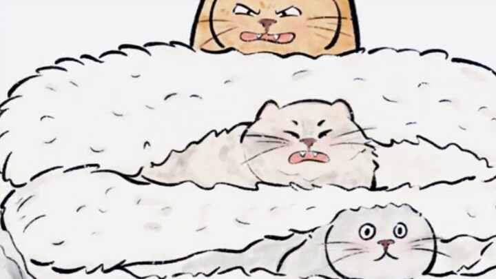 แมว: เฮ้ย ให้ถั่วลิสงฉันหน่อย~ ให้ถั่วลิสงฉันหน่อย~