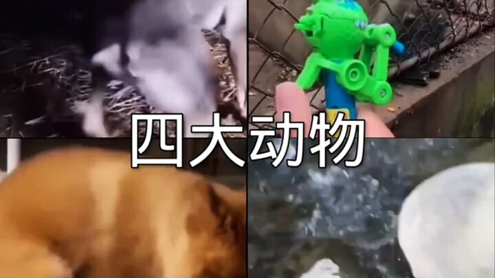 The Four Great Animals