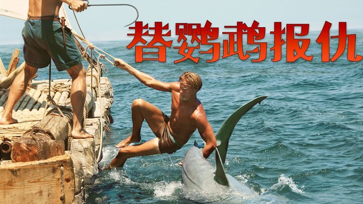 【العم نيو】 شديد القوة والشراسة! طائر محبوب أُكل من قبل سمكة قرش، فتمسَّك بذيله وسحبه إلى السطح، حقًا