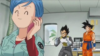Vegeta thought Bulma was cheating. Beerus threatened to destroy the universe.