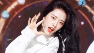يو تشين، هذه اللقطة الحية تُعتبر أسطورية حقًا!